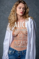 Alice Antoinette in Alice C10A gallery from MOREYSTUDIOS2 by Craig Morey