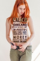 Calico C03N gallery from MOREYSTUDIOS2 by Craig Morey