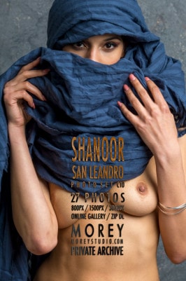 Shanoor  from MOREYSTUDIOS2
