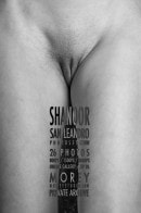 Shanoor C11BW gallery from MOREYSTUDIOS2 by Craig Morey