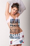 Adriana D P5A