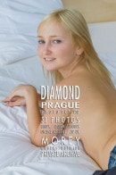 Diamond P5B gallery from MOREYSTUDIOS2 by Craig Morey