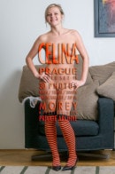 Celina P8
