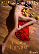 Renata in Gypsy Harvest gallery from MPLSTUDIOS by Fedorov