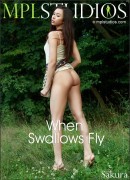 When Swallows Fly