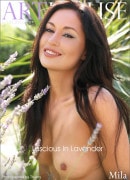 Mila in Luscious In Lavender gallery from MPLSTUDIOS by Thierry