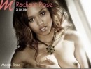 Radiant Rose gallery from MUSE by Richard Murrian
