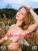 Amelia C in Flower In The Field – In Colour gallery from MY NAKED DOLLS by Tony Murano