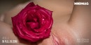 Adele in In Full Bloom gallery from MY NAKED DOLLS by Tony Murano