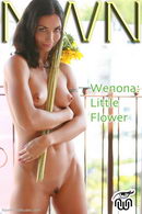 Wenona in Little Flower gallery from NEWWORLDNUDES