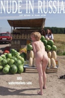 Watermelons Sale