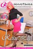Rosie Lee in  gallery from ONLYSECRETARIES COVERS