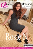Rosie N in  gallery from ONLYSECRETARIES COVERS