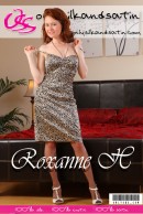 Roxanne H in  gallery from ONLYSILKANDSATIN COVERS