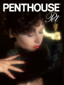 Penthouse Pet - 1977-08