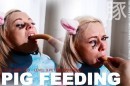 Pig Feeding