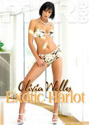 Olivia Wells in Exotic Harlot gallery from PIER999