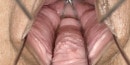 SILVIA BLACK in RIPPLED PUSSY MEAT video from PJGIRLS