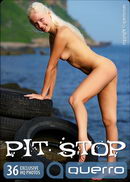 Pit Stop