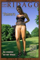 Tamara in The Meadow - Part 2 gallery from RIDAGO by Carlos Ridago