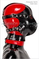 Danni in Hannibal Harness Mask gallery from RUBBEREVA by Paul W