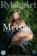 Metsas