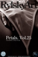 Petals. Vol.25