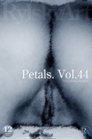 Petals. Vol.44