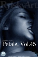 Petals. Vol.45