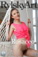 Rosaceo