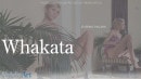 Whakata