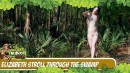 Elizabeth Presents Stroll Through The Swamp video from SECRETNUDISTGIRLS by DavidNudesWorld