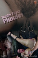 Tender Pussy Plunder