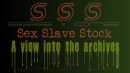 Sex Slave Stock Slut Training 1