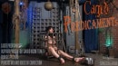Caged Predicaments