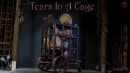 Tears In A Cage video from SENSUALPAIN