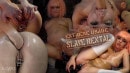 Extreme Usage Slave Rental
