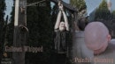 Painful Cleaning Gallows Whipped