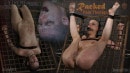 Racked Pain Therapy gallery from SENSUALPAIN