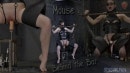 Mouse Behind The Bar gallery from SENSUALPAIN