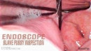 Endoscope Slave Pussy Inspection Endoscope Slave Pussy Inspection