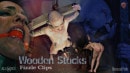 Wooden Stocks Fizzle Clips