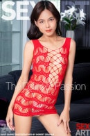 Rose Sarinz in The Color Of Passion gallery from SEXART by Robert Graham