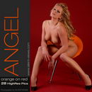 Angel in #89 - Orange On Red gallery from SILENTVIEWS
