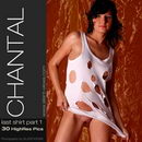 Chantal in #92 - Last Shirt - Part I gallery from SILENTVIEWS