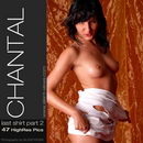Chantal in #95 - Last Shirt - Part 2 gallery from SILENTVIEWS