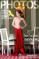 Natasha in Dinner gallery from SKOKOFF by Skokov