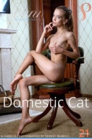 Alisabelle in Domestic Cat gallery from STUNNING18 by Thierry Murrell