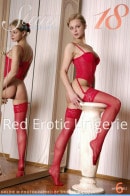 Red Erotic Lingerie