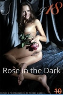 Edison X in Rose In The Dark gallery from STUNNING18 by Thierry Murrell